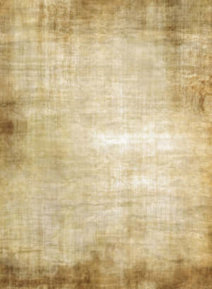 Old Paper Texture Crease Line Wallpaper