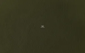 Olive Green Textured Hermes Wallpaper