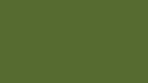 Olive Greenaesthetic Desktop Plain Wallpaper