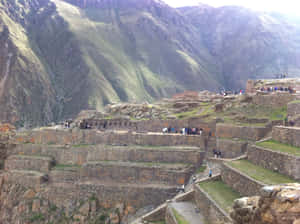 Ollantaytambo Sanctuary Historical Landmark Wallpaper