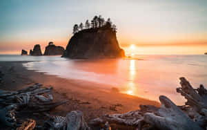 Olympic National Park Coast Wallpaper