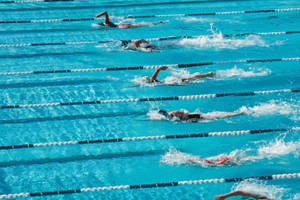 Olympic Swimming Competition Wallpaper