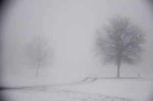 Ominous Foggy Snow-covered Landscape Wallpaper