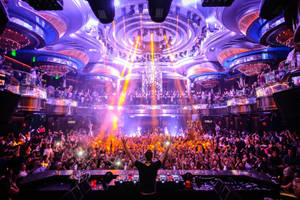 Omnia Night Club Bar Party Wallpaper