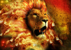 On Fire Lion's Mane Wallpaper