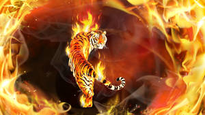 On Fire Tiger Wallpaper
