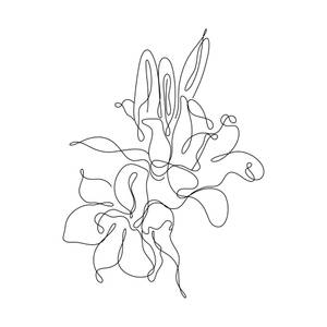 One Line Drawing Flower Petals Wallpaper