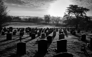 Open Field Graveyard Wallpaper