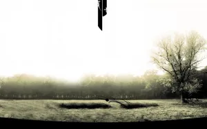 Open Monochrome Forest Wallpaper