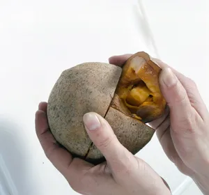 Opening Mammee Apple Fruit Wallpaper