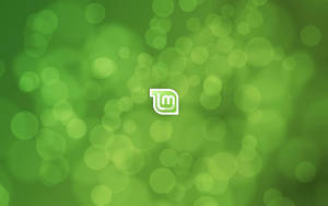 Operating System Linux Mint 9 Default Wallpaper