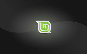 Operating System Linux Mint Logo Curvy Line Wallpaper