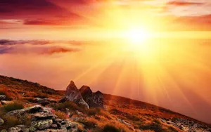 Orange Color Sun Rise Wallpaper