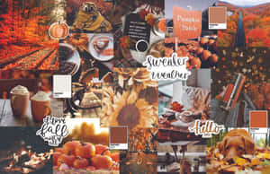 Orange Fall Collage Sweater Weather Wallpaper