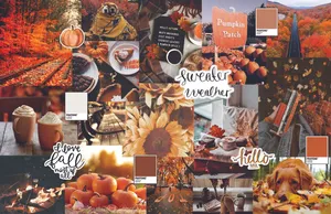 Orange Fall Collage Sweater Weather Wallpaper