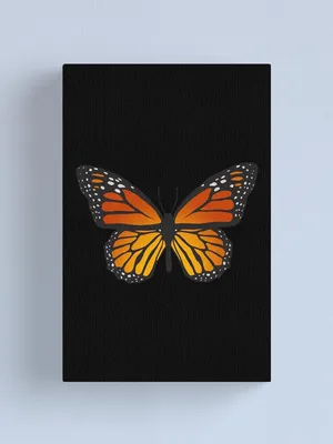 Orange Monarch Butterfly Art Print Illustration Wallpaper