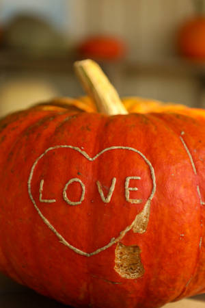 Orange Pumpkin Love Carving Wallpaper