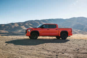 Orange Tundra In Desert With Mountains Wallpaper