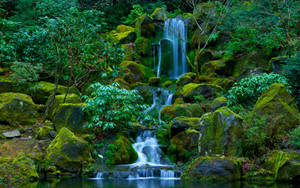 Oregon Portland Japanese Garden Wallpaper