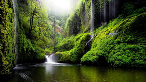 Oregon River Waterfalls Wallpaper