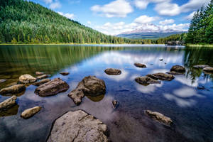 Oregon Trillium Lake Mount Hood Wallpaper