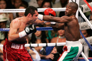 Oscar De La Hoya Vs Mayweather Wallpaper