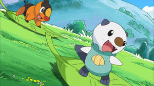 Oshawott And Tepig Playing Wallpaper