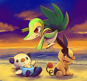 Oshawott On The Seashore Wallpaper
