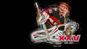 Ottawa Senators' Star Goalie, Craig Anderson In Action Wallpaper