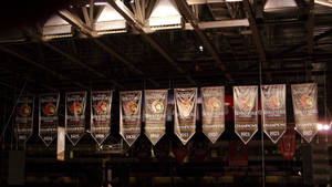 Ottawa Senators Team Banners Wallpaper