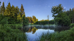 Outdoor Small Lake Wallpaper