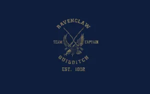 Outfit With Ravenclaw House Colours Wallpaper