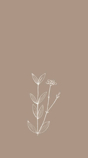 Outline Spring Aesthetic Wallpaper