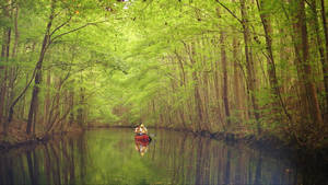 Paddling In Chesapeake's Waterways Wallpaper