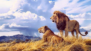 Painting Of Lion Desktop Wallpaper