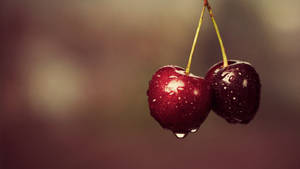 Pair Of Morello Cherries Wallpaper