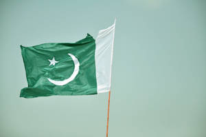 Pakistan Flag With Tear Wallpaper