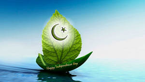 Pakistan Sailing Leaf Wallpaper