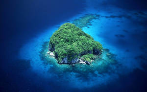 Palau Rock On A Lagoon Wallpaper