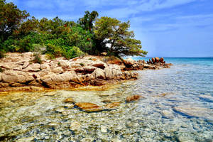 Palau Rocks Near Water Wallpaper