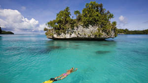 Palau Woman Snorkeling Wallpaper