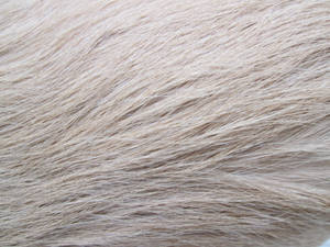 Pale White Animal Fur Wallpaper