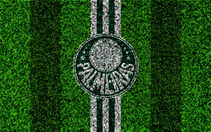 Palmeiras Grass Wallpaper
