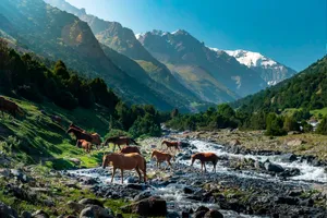 Pamir Alak Trek In Osh Kyrgyzstan Wallpaper