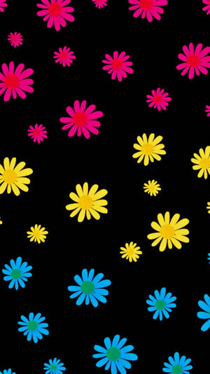 Pansexual Daisies Wallpaper