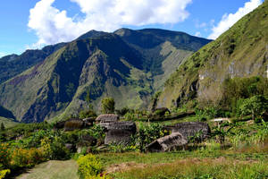 Papua New Guinea Highlands Wallpaper