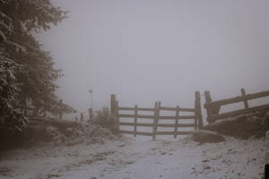 Paranormal Foggy Winter Farm Wallpaper