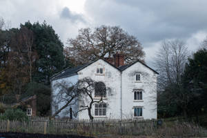 Paranormal House In The Woods Wallpaper