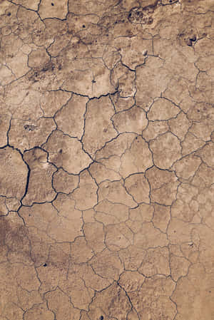 Parched Earth - A Striking View Of Cracked Dry Soil Wallpaper