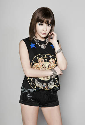 Park Bom 2ne1 Photography Wallpaper